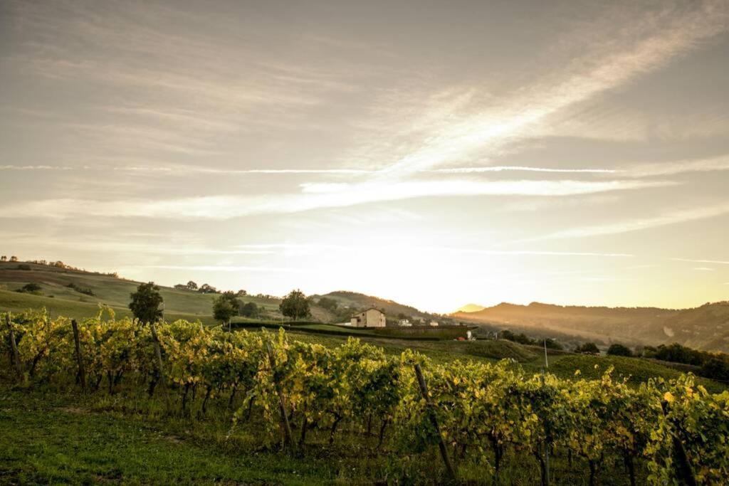 La Casa Vacanza Con Vista Panoramica Sui Vigneti Rotella Luaran gambar